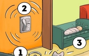 Trắc nghiệm tính cách: Bạn xử lý việc cấp bách nào đầu tiên?