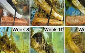 Phát minh mới về loại giày giúp giảm ô nhiễm đại dương