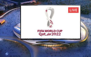 Khi nào Việt Nam sở hữu bản quyền World Cup 2022?