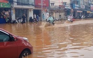 Đi tìm nghịch lý Đà Lạt thành 'sông': Thiên tai có, nhưng 'nhân tai' mới là nguyên nhân chủ chốt