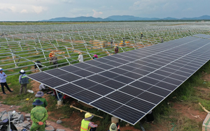 Các công ty điện mặt trời của Tập đoàn Xuân Thiện kinh doanh ra sao trong năm đầu tiên vận hành?