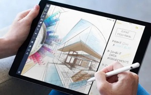 Khi nào nên thay đầu bút Apple Pencil?