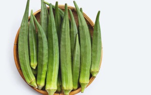 Thế giới 2022: Những khám phá khoa học ấn tượng lấy cảm hứng từ thiên nhiên