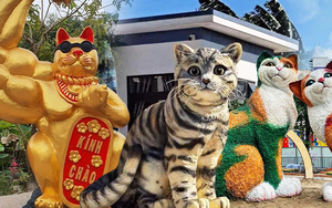 Cộng đồng mạng rần rần với những linh vật mèo gây sốt của các tỉnh thành khắp Việt Nam