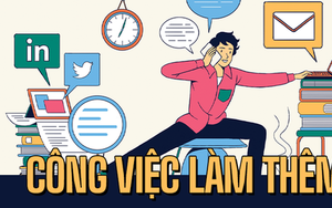 4 công việc làm thêm cho tuýp người hướng nội hoặc EQ thấp: Có nghề có thể kiếm được hàng trăm triệu!