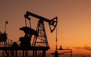 Một tập đoàn dầu khí Nga muốn cung cấp dầu thô dài hạn cho Việt Nam và xây dựng dự án kho dự trữ xăng dầu