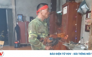Lễ cướp vía cầu sức khỏe của đồng bào Dao Đỏ Lào Cai