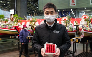 Loại cherry này có gì đặc biệt mà nửa cân có giá bán gần 240 triệu đồng?