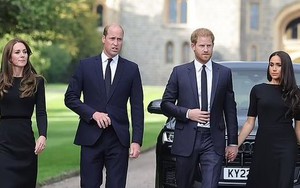 Vua Charles, William - Kate và Harry - Meghan đều bị sụt giảm danh tiếng