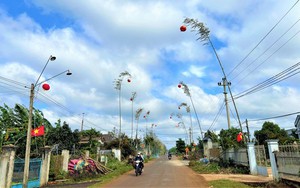 Cao nguyên Đắk Lắk dựng nêu đón Tết