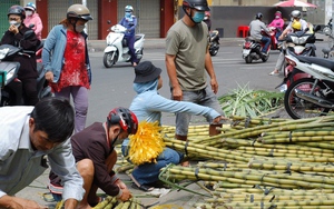 TP.HCM: Mía thân vàng đắt khách ngày cúng vía Ngọc Hoàng