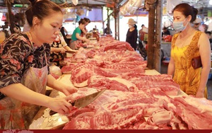 Giá lợn hơi giảm mạnh, giá thịt vẫn ở mức cao