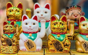 Mèo được coi là biểu tượng may mắn, vô tình giết mèo còn phải lĩnh án tử hình