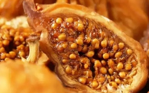 Đây là lý do vì sao bạn nên uống nước sung khi bụng đói