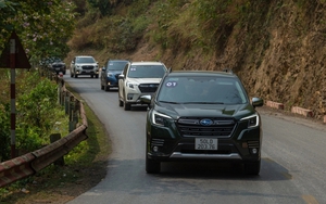 Bảng giá xe ô tô Subaru tháng 10: Forester nhận ưu đãi tới gần 300 triệu đồng