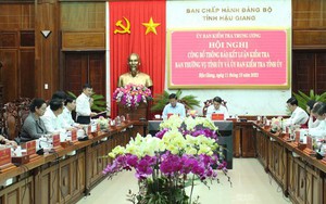 Công bố kết quả kiểm tra kê khai tài sản, thu nhập của Thường trực Tỉnh ủy Hậu Giang