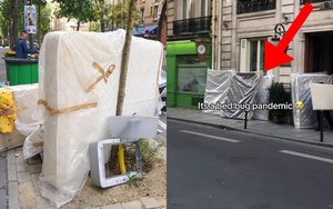 Đường phố Paris bỗng xuất hiện những 'núi nệm' ở vỉa hè, nguyên nhân từ loài côn trùng hút máu gây ám ảnh