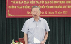 Ban Chỉ đạo trung ương về phòng, chống tham nhũng, tiêu cực kiểm tra tại Tỉnh ủy Bình Định