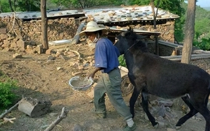 Giáo sư Bắc Đại bỏ phố lên núi sống ẩn dật 7 năm, tiêu sạch 12 tỷ tiết kiệm và nhận ra một sự thật