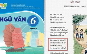 Bài thơ Bắt nạt gây tranh cãi: Cuộc chiến đưa thơ văn đương đại vào SGK?