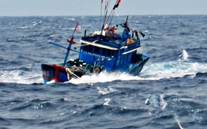 Nạn nhân sống sót trong vụ chìm tàu: Lênh đênh trên biển, ăn gián sống để chờ cứu hộ