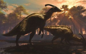 Sốc: Tiểu hành tinh Chicxulub không hề tiêu diệt khủng long
