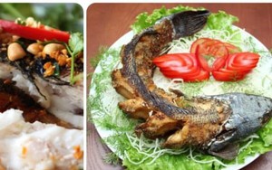 Loại cá được ví bổ như nhân sâm, đi chợ nhièn thấy tuyệt đối đừng bỏ qua