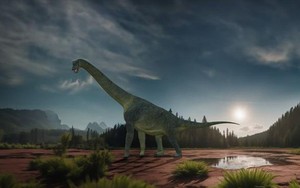 Tìm thấy hóa thạch khủng long cổ dài khổng lồ chưa từng thấy