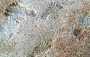 Tìm thấy dấu vết người đầu tiên khai phá Bắc Mỹ: 23.000 năm trước