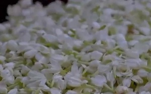 Thành phố nắm giữ bí mật về nước hoa