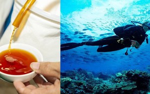Vì sao thợ lặn uống nước mắm trước khi xuống nước?