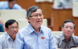 Những đại án hình sự, kinh tế cho thấy sự xuống cấp về văn hóa và đạo đức