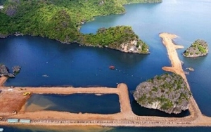 Yêu cầu tỉnh Quảng Ninh xem xét đánh giá tác động môi trường các dự án lấn biển