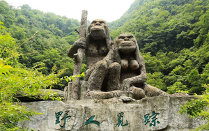 Bí mật sâu trong Shennongjia: Đằng sau khu vực cấm ẩn giấu điều gì?