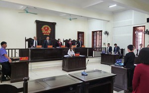 “Kiều nữ” bị tố chiếm đoạt gần 173 tỉ đồng