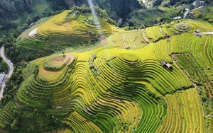 Chuyện chưa kể về biệt đội 'chim sắt'