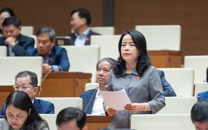 Chất vấn thời điểm xác định trị giá tài sản vụ án Vũ 'nhôm' và Trần Văn Minh