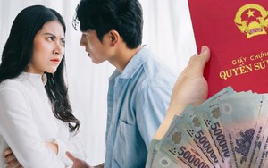Chồng tỷ phú để con riêng đứng tên gia sản vì không muốn chia cho vợ khi ly hôn