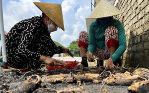 Chợ chuột lớn nhất Nghệ An, mỗi ngày tiêu thụ cả tấn