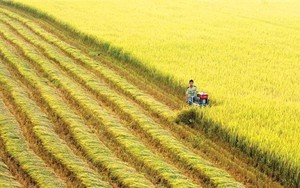 Phát triển bền vững ngành hàng 22 tỷ đô, thúc đẩy bảo vệ cây trồng bằng sản phẩm sinh học