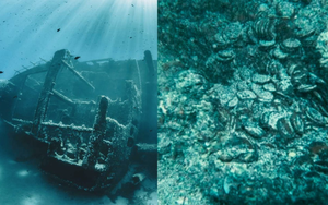 Phát hiện 50.000 vật thể giá trị dưới đáy biển, dân tình suy đoán là ‘tàn tích’ của vụ chìm tàu bí ẩn trong lịch sử cổ đại