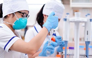 Thấy em không giống bố, chị âm thầm đi xét nghiệm ADN: Đọc xong nhờ hủy luôn kết quả