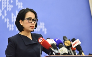 Việt Nam lên tiếng việc Mỹ đưa Việt Nam vào danh sách giám sát thao túng tiền tệ