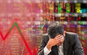 Chủ tịch bị bắt, cổ phiếu LDG nằm sàn la liệt