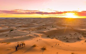 10 sự thật thú vị về sa mạc Sahara