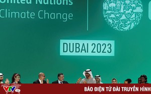 COP28: Tiền đề mới cho cuộc chiến chống biến đổi khí hậu