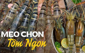 Chủ vực hải sản hướng dẫn mẹo phân biệt tôm tươi, tôm ươn, tôm bơm hóa chất dễ dàng nhất