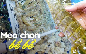 4 chỗ cần xem ngay khi mua bề bề, chọn nhầm có thể mua phải "vỏ rỗng"