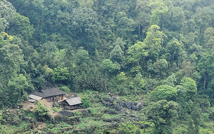 "Ngôi làng địa ngục" gây sốt trong phim kinh dị Việt, không phải là bối cảnh giả, điểm này cách Hà Nội gần 300km