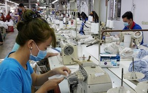 Gần 1.000 doanh nghiệp đã lên kế hoạch thưởng Tết